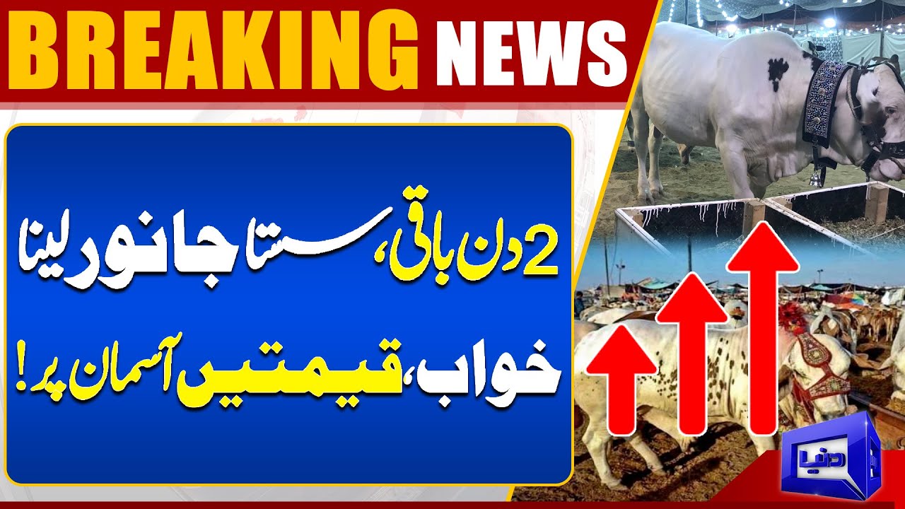Sacrificial Animals Prices Hike | Eid ul Adha 2024 | Latest Updates | Dunya News