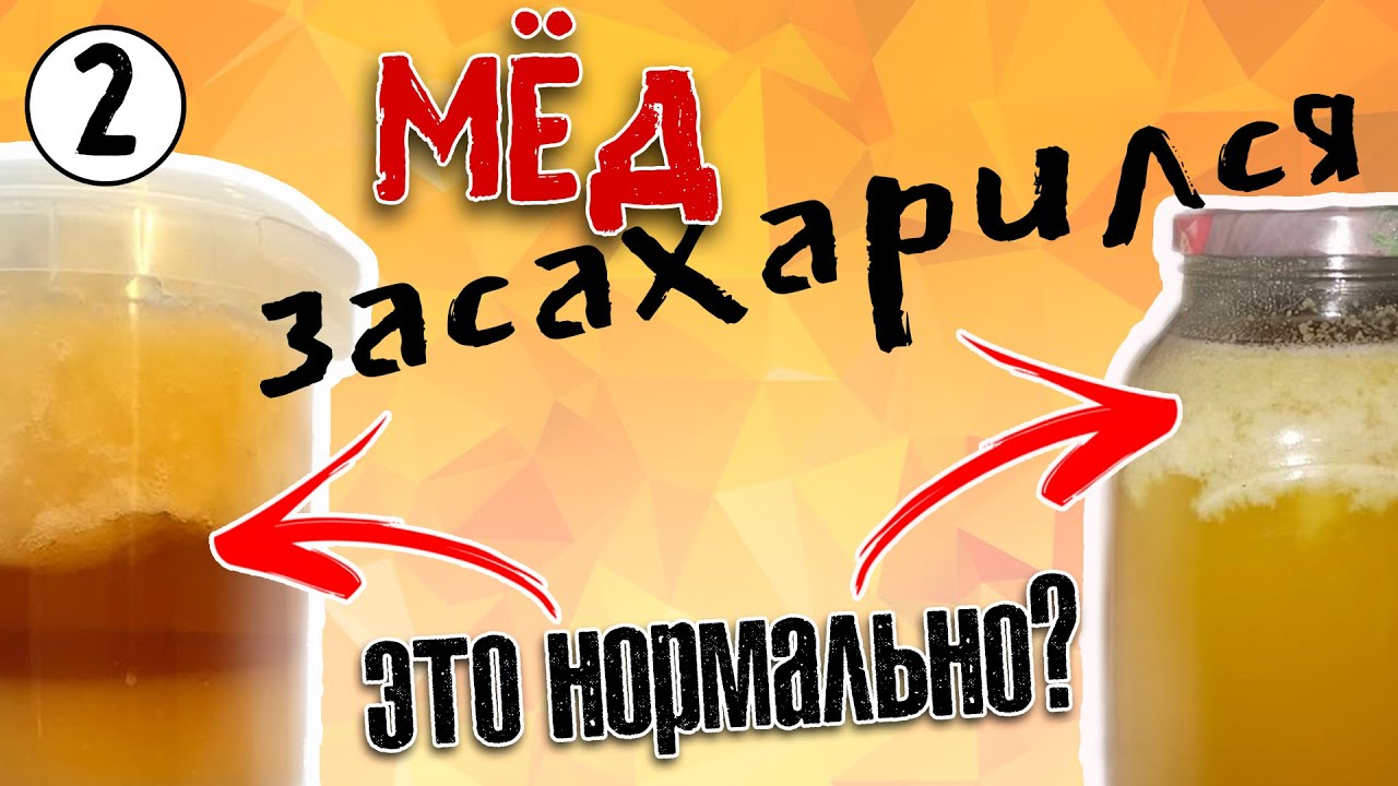 Кристаллизация мёда. Гретый мёд – ЯД? Крем-мёд. Полный разбор.