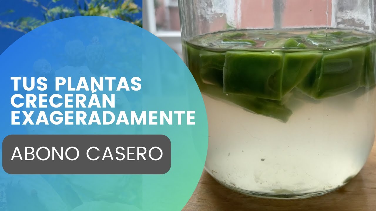 Usalo en tus plantas y crecerán mas rápido (Abono casero de Nopal) #abonocasero #crecerplantas