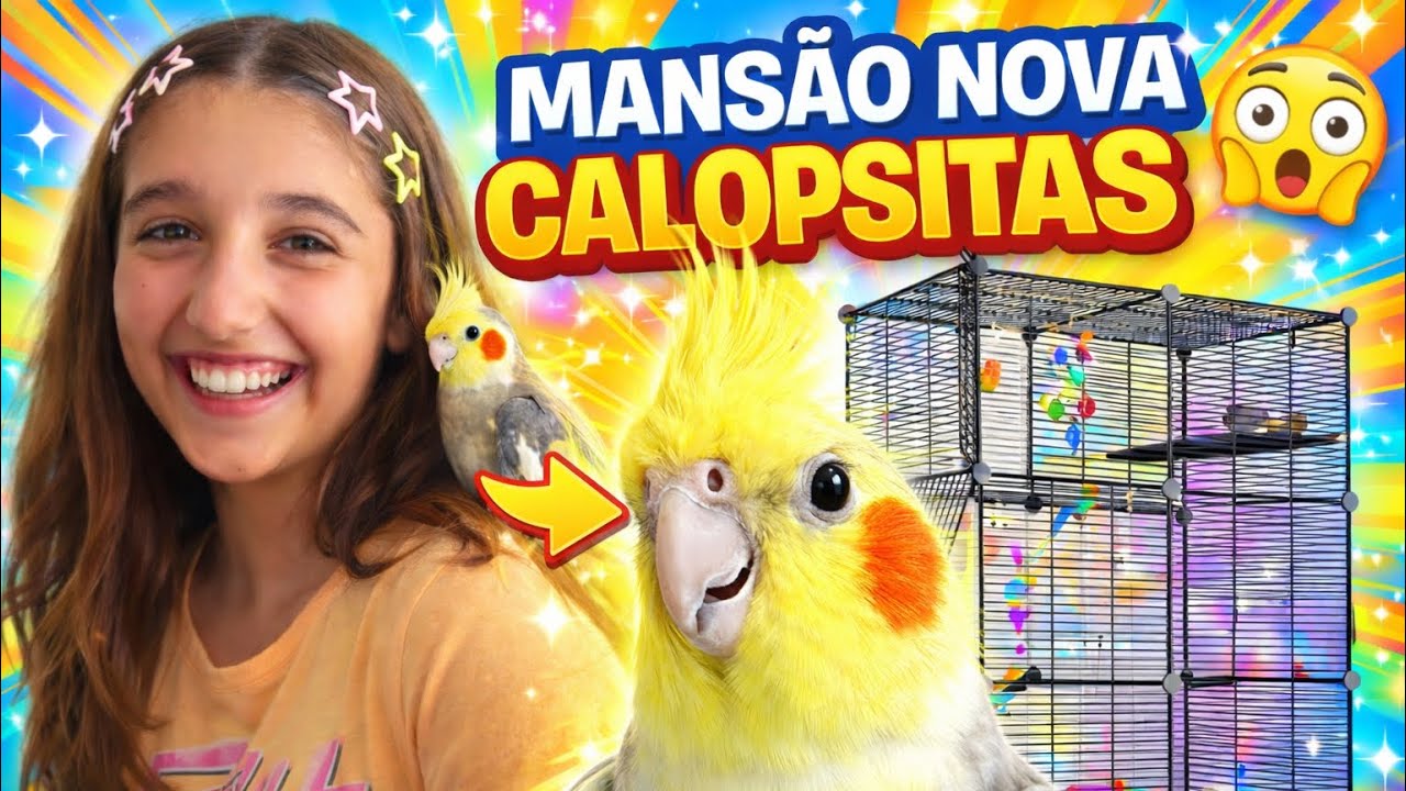 MONTAMOS A MANSÃO NOVA DAS CALOPSITAS 🐦🏠