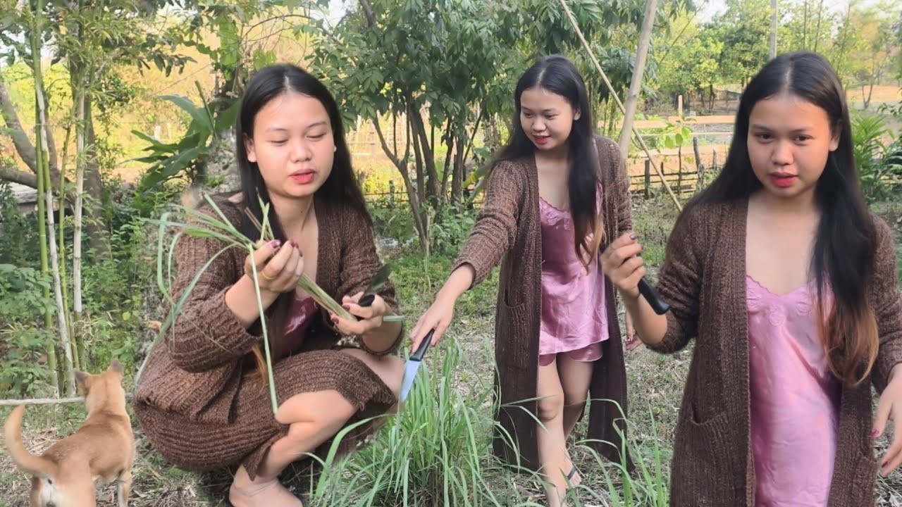 ลงคลิปในรอบ 3 เดือน เพราะอะไร?ทำอาหารเช้าวันนี้ #อาหารเช้า #สาวลาว #แขวงคำม่วน คำม่วน12 มีนาคม2026