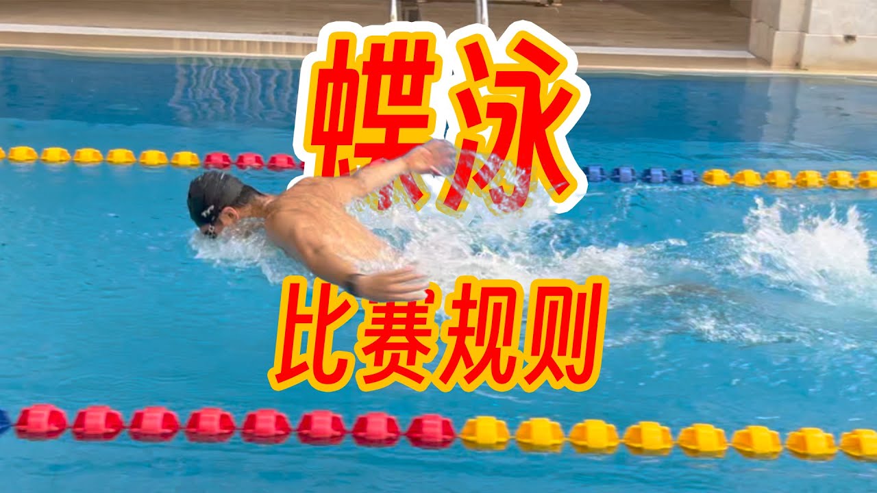 【游泳规则】8蝶泳从何而来？规则细讲