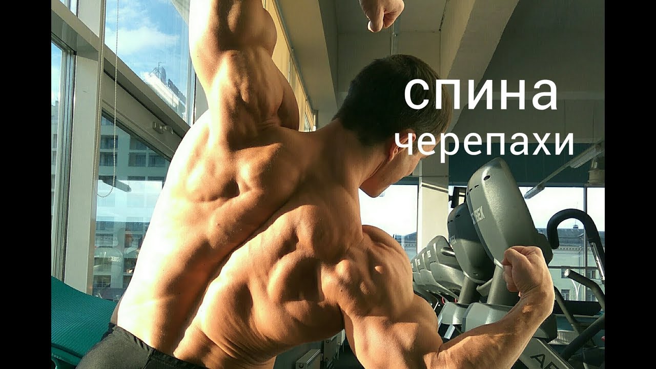 Спина черепашки-ниндзя! Божественное упражнение на толщину спины