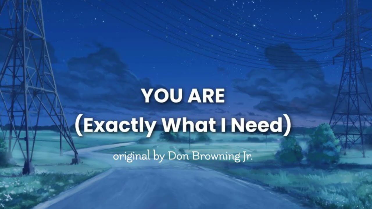 YOU ARE (Exactly What I Need) original song by Don Browning Jr.