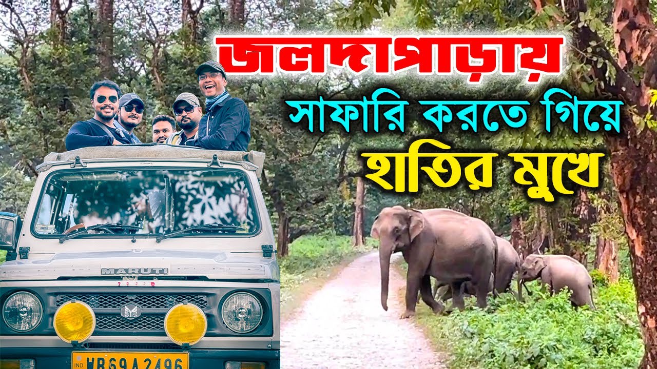 Jaldapara Tour Plan | Jaldapara Jeep Safari | Jaldapara Elephant Safari