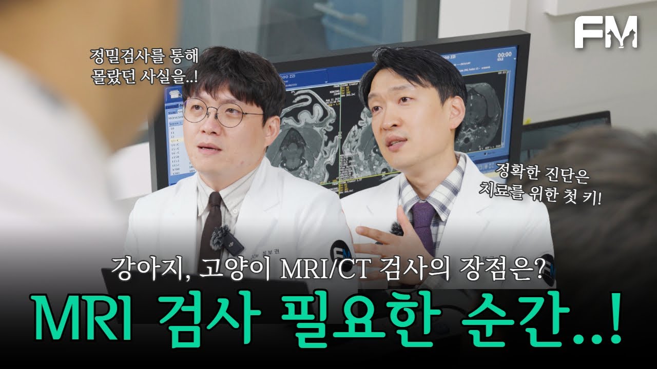 강아지 MRI 촬영이 필요한 순간은? 정확한 진단이 올바른 치료를 만듭니다.