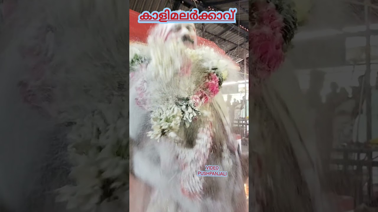 കാളിമലർക്കാവിലമ്മ. ദർശ്ശന പുണ്യമായ്