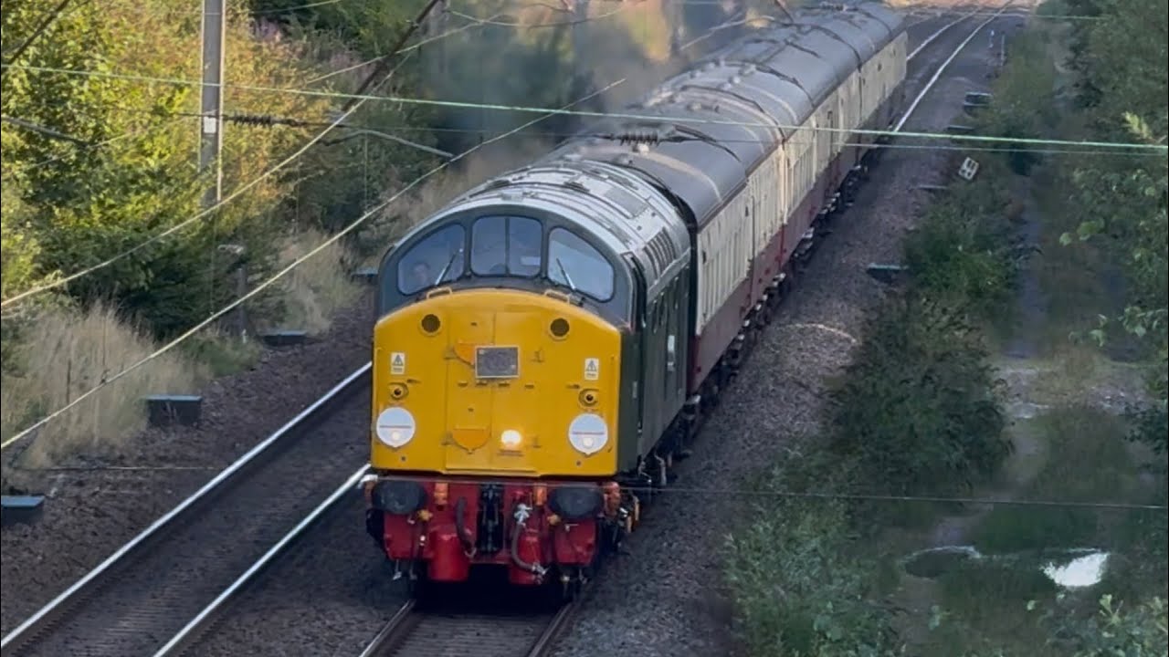 English Electrics WAKE UP the Neighbours #2! THRASH & NOISE! Ft 37669 & 40013 D213! 22/8/26