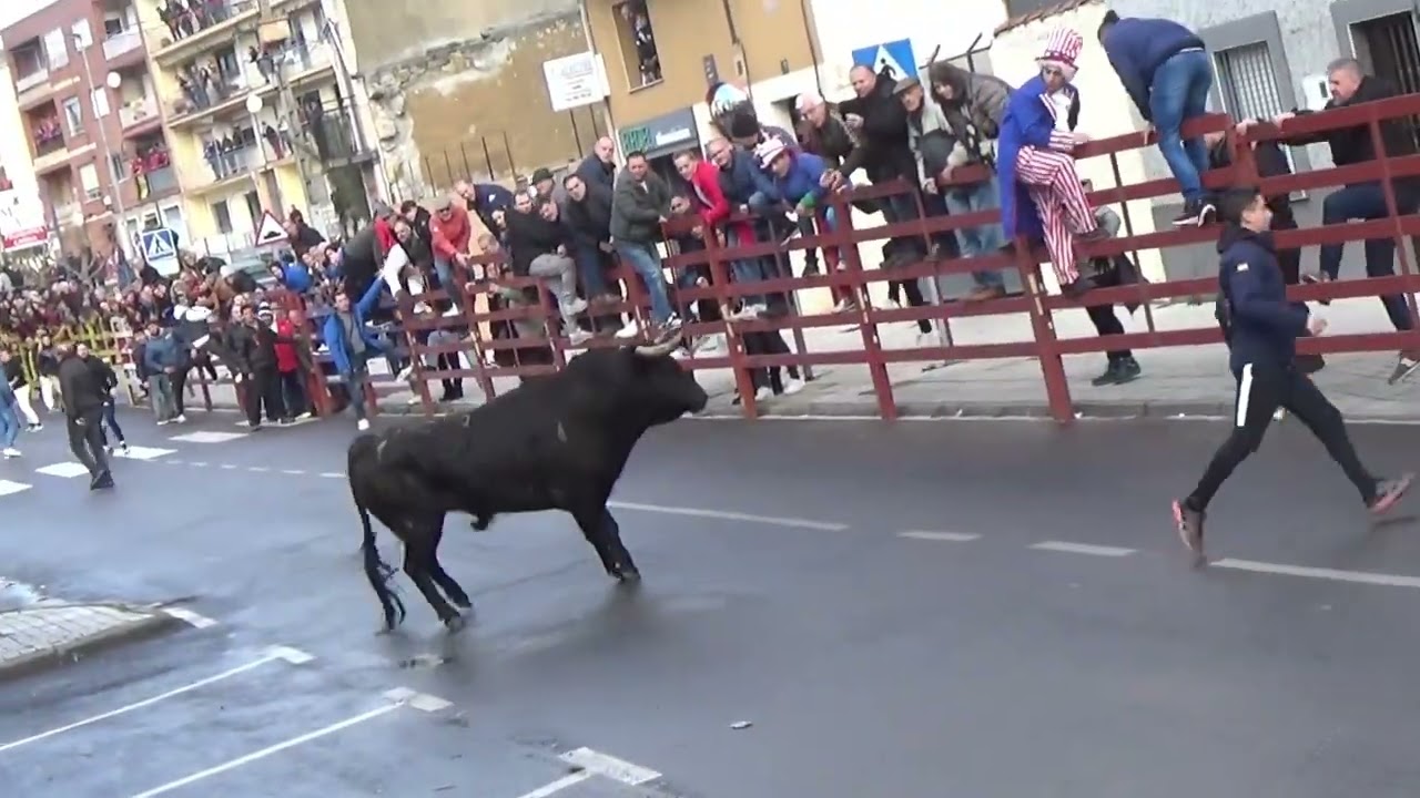 CIUDAD  RODRIGO  (SALAMANCA)  2024 CARNAVAL DEL TORO