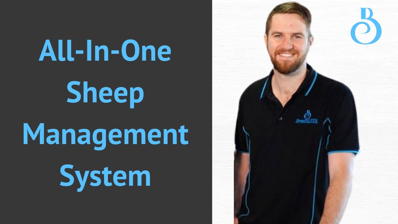 BreedELITE's Sheep Management System: Helping Sheep Farmers Turn Data Into Profit, Faster.