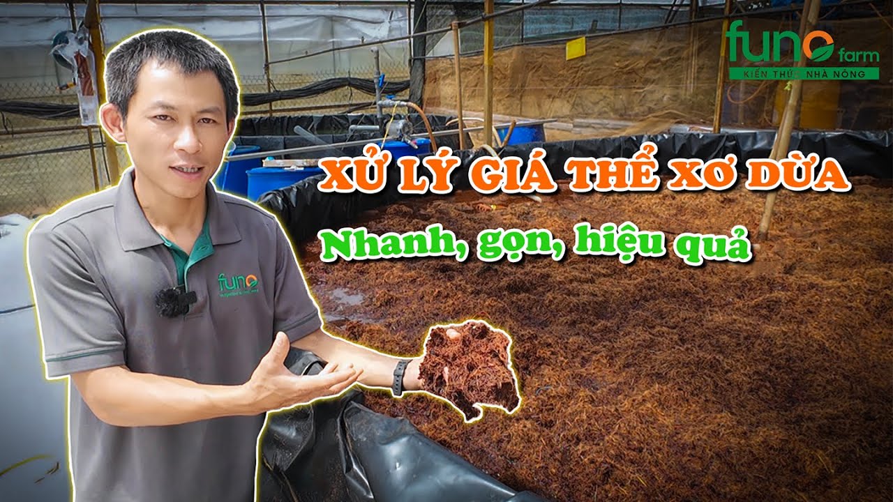 Hướng Dẫn Xử Lý Giá Thể Xơ Dừa Trồng Cây - FUNOFARM