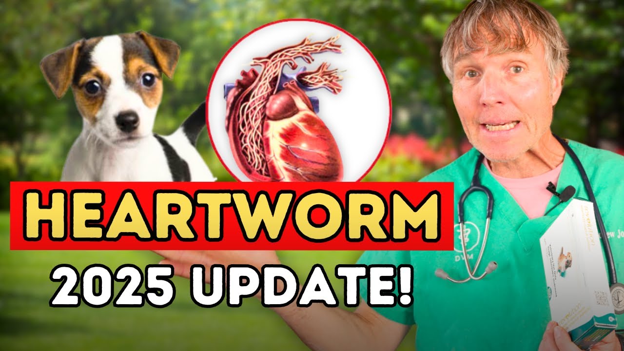 Heartworms in 2025: What's Changed? Dr. Jones' Take on 2025 Heartworm Treatments