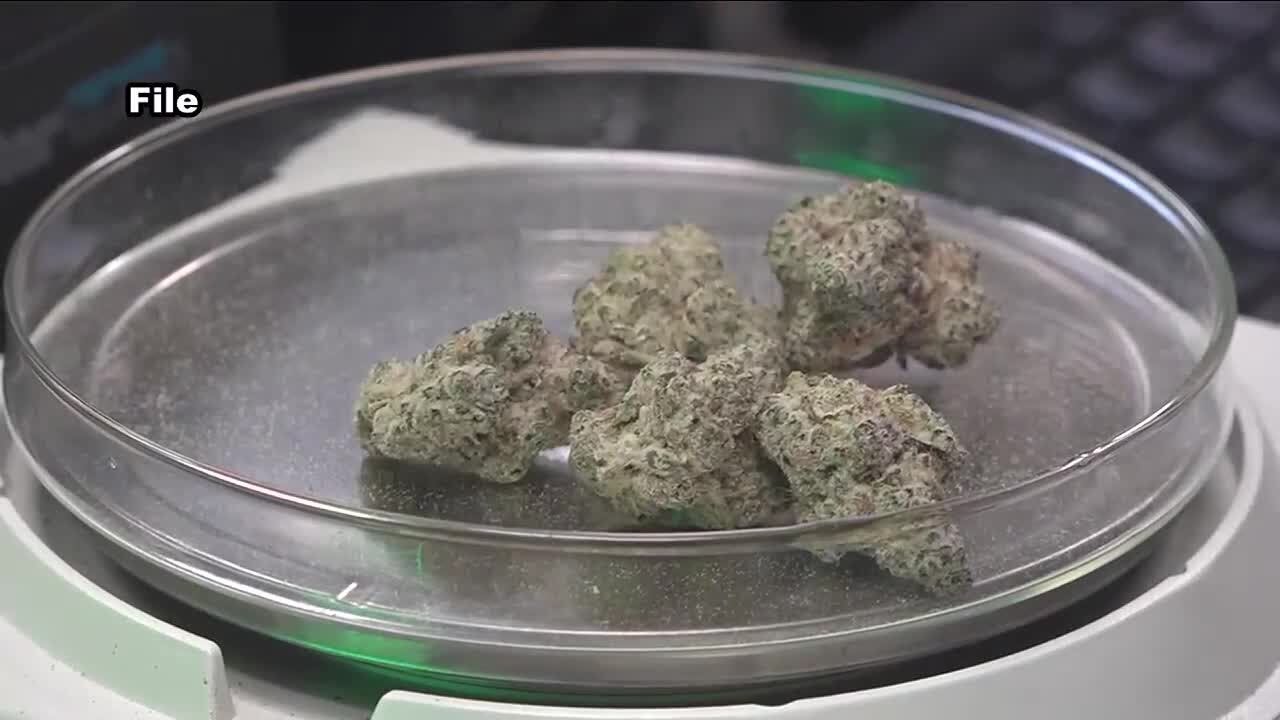 Jackley joins opposition to Biden Administration&rsquo;s proposal to reclassify marijuana