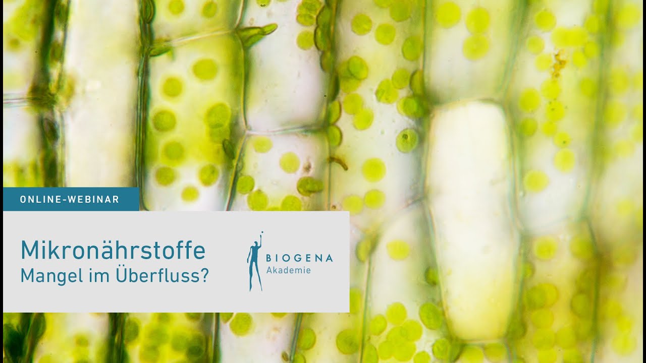 Mikronährstoffe - Mangel im Überfluss | Webinar mit Joachim Haid