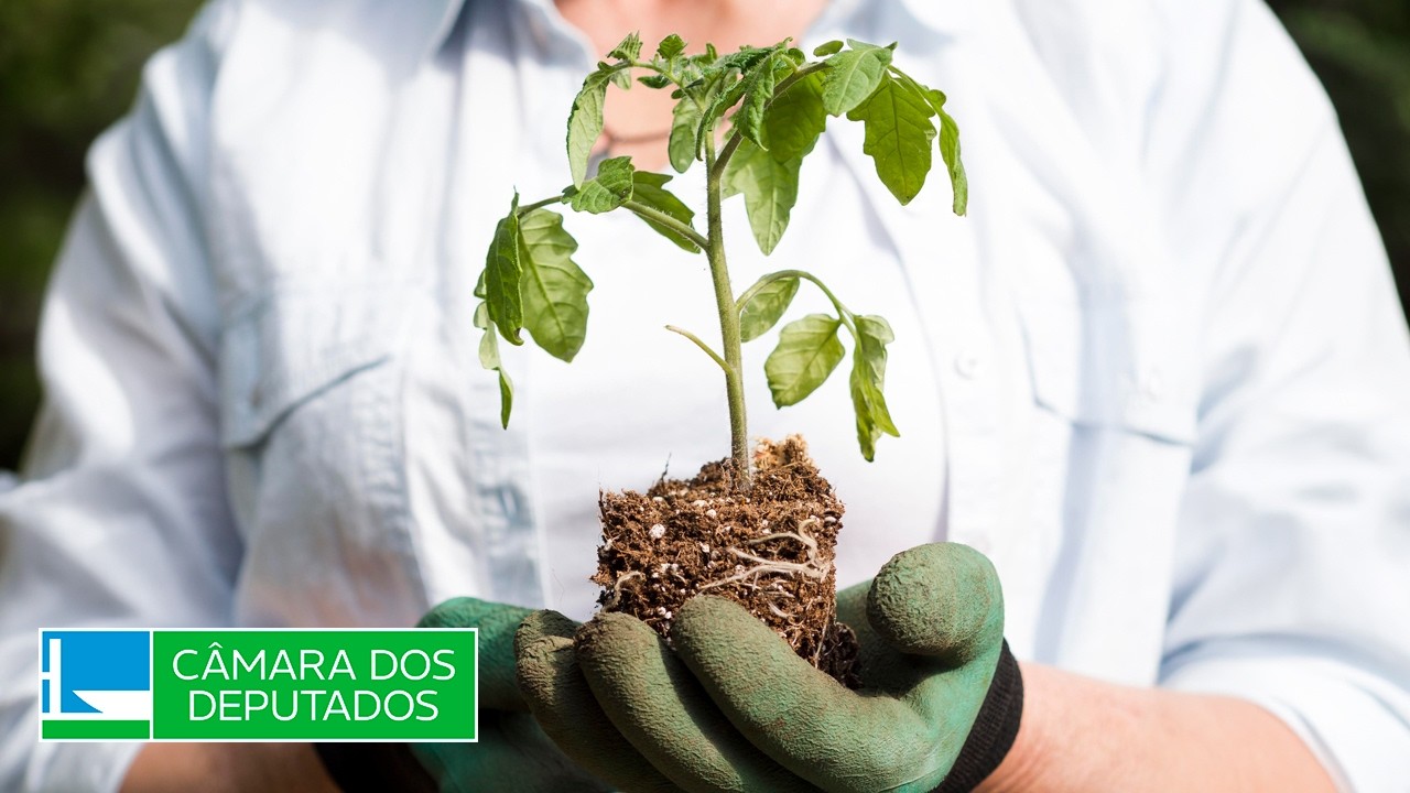 Meio Ambiente e Desenvolvimento Sustentável - Instalação e eleição de presidente da comissão - 0...