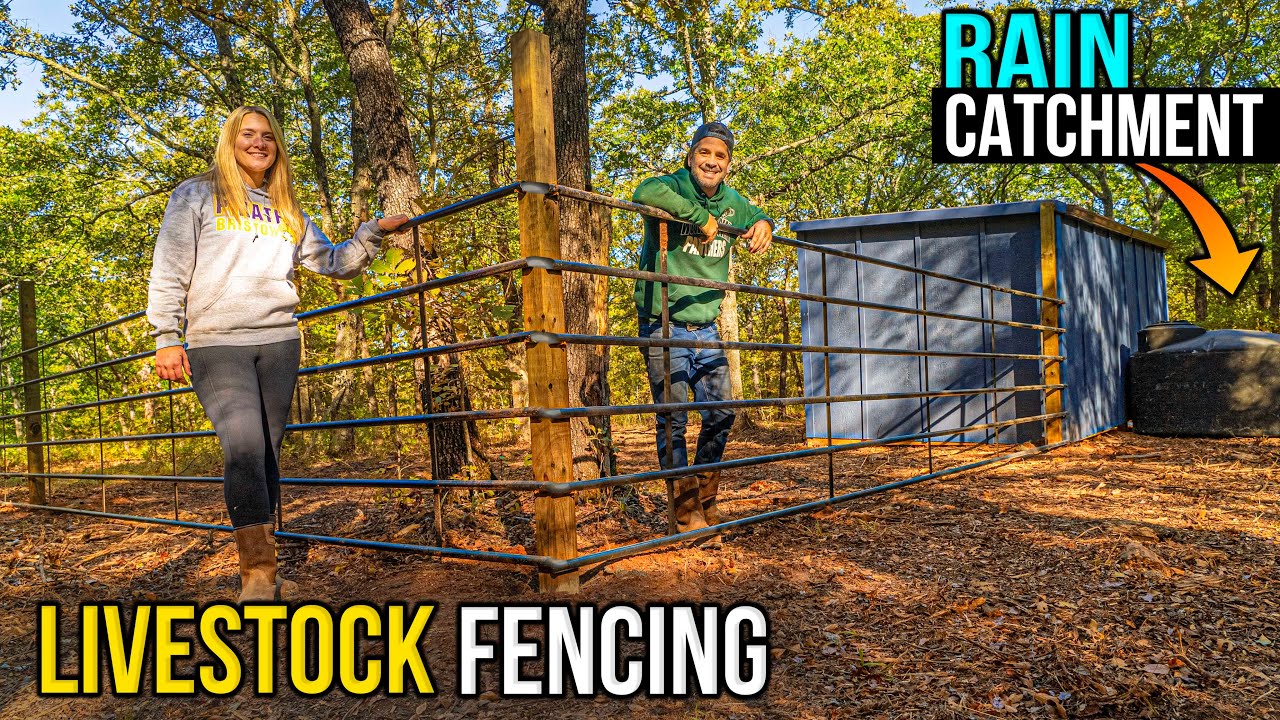 Are We ANIMAL READY!? We Put In SO MUCH Work on the Homestead // Ranch