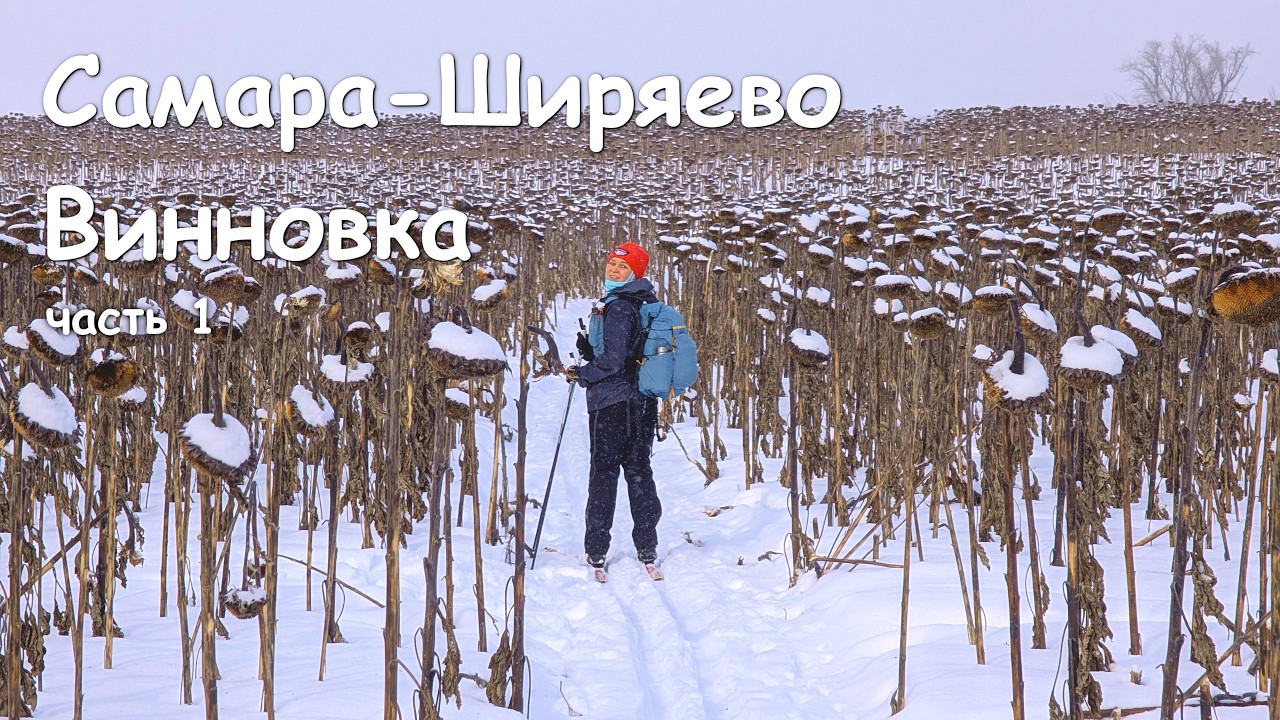 Самара Ширяево Винновка на лыжах