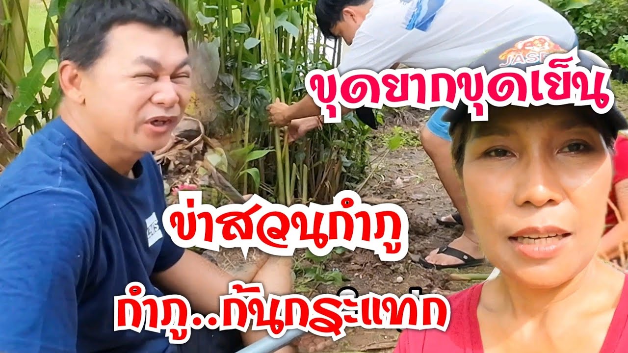 ขุดยากขุดเย็น ข่าสวนกำภู ล้มก้นกระแทก#บ้านสวนกำภู Ep812