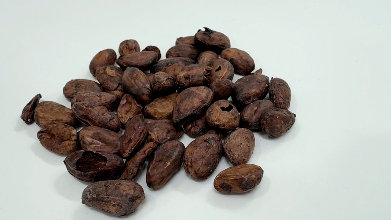 Ci&ecirc;ncia SP | Grupo cria mel &lsquo;sabor chocolate&rsquo; usando casca da am&ecirc;ndoa do cacau