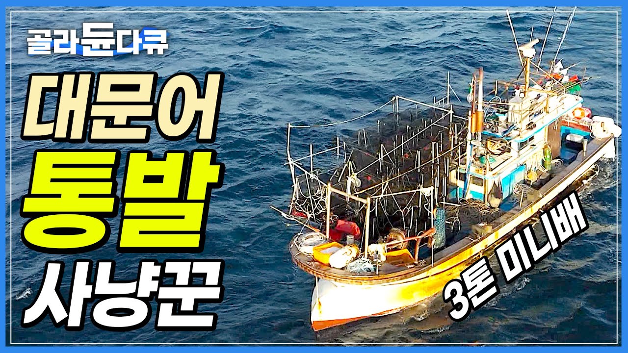 통발 4,000개 1억 2천만 원! 작은 통통배로 거친 바다에 깡다구 인생 모두 걸었다!│큰 놈 잡는 작은 배! 40kg 대왕문어를 잡아라!│대문어 잡이│바닷가 사람들│#골라듄다큐
