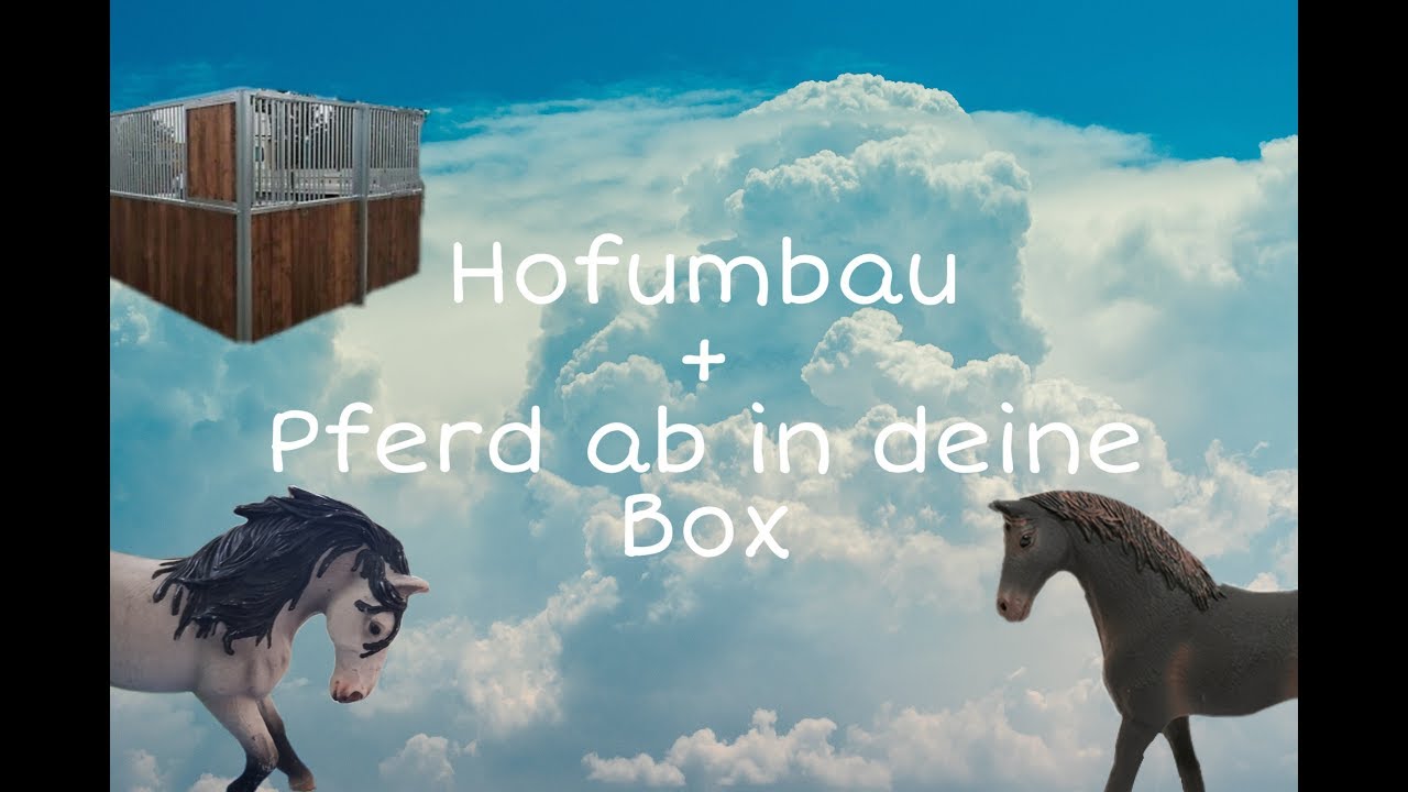 Hofumbau+Pferd ab in deine Box 🥰❤🥳