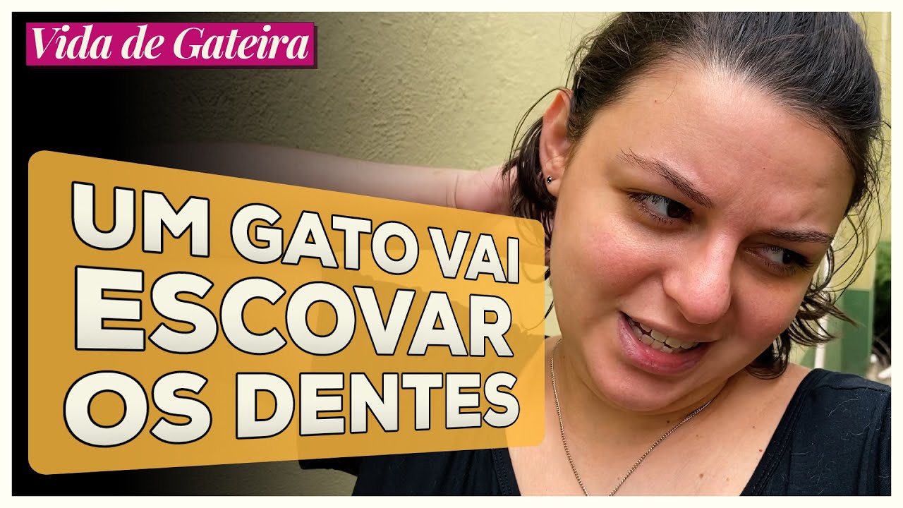 Paçoca vai ao Veterinário  | Vida de Gateira #23