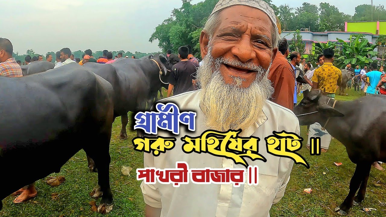 পাখরী হাটে গরু-মহিষ বেচা কেনার হালচাল  || Pakhri Bazar || Kapasia Gazipur Bd ||