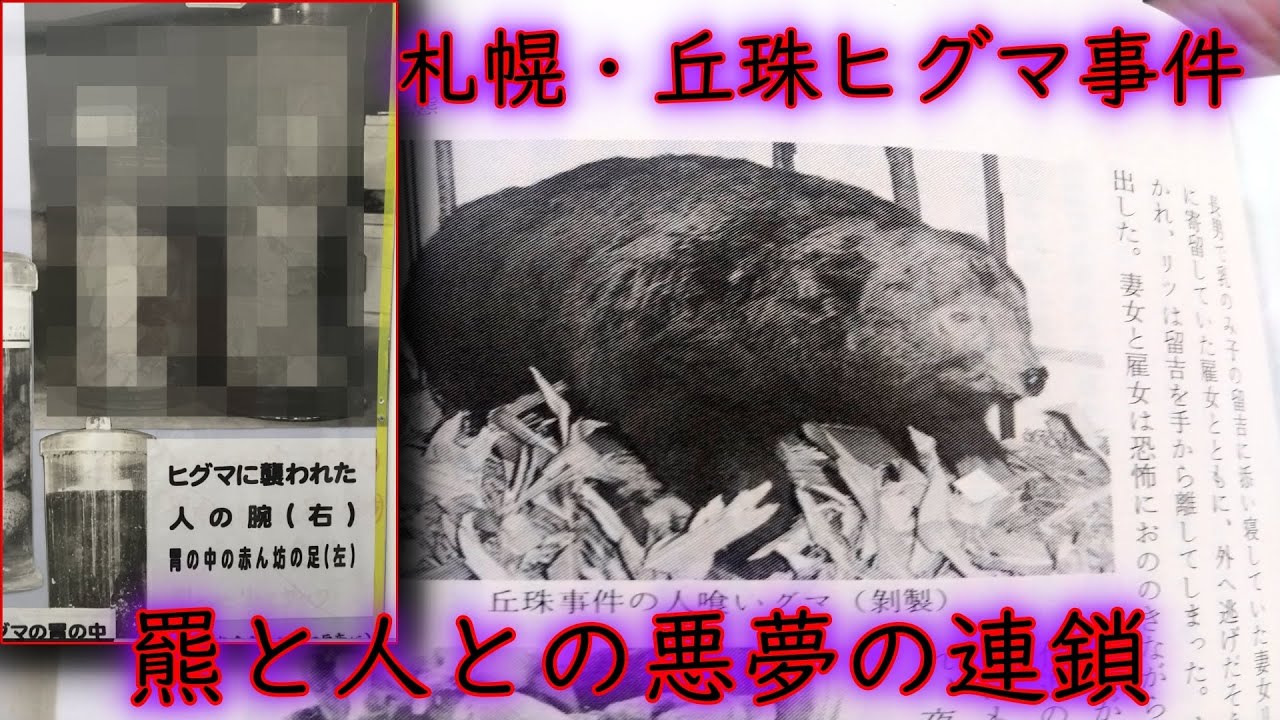 狩猟失敗から起きた連鎖する悪夢のヒグマ事件！札幌丘珠ヒグマ事件！【総集編】