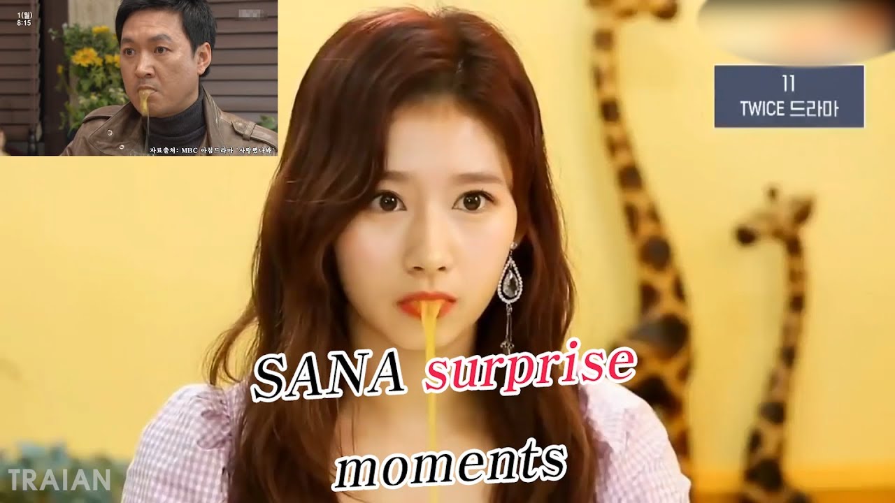 깜짝 놀라는 사나의 순간들 (SANA Surprise Moments)E.sub