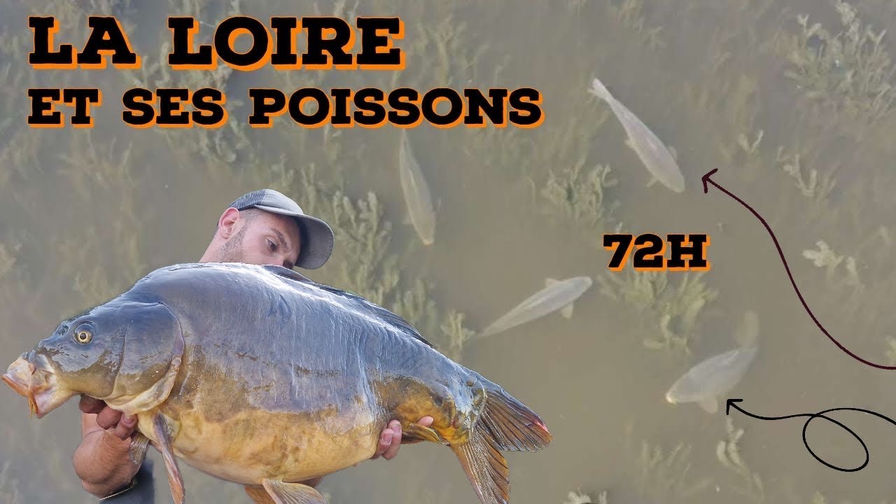 72H en FLEUVE ,les POISSONS répondent PRESENTS !!