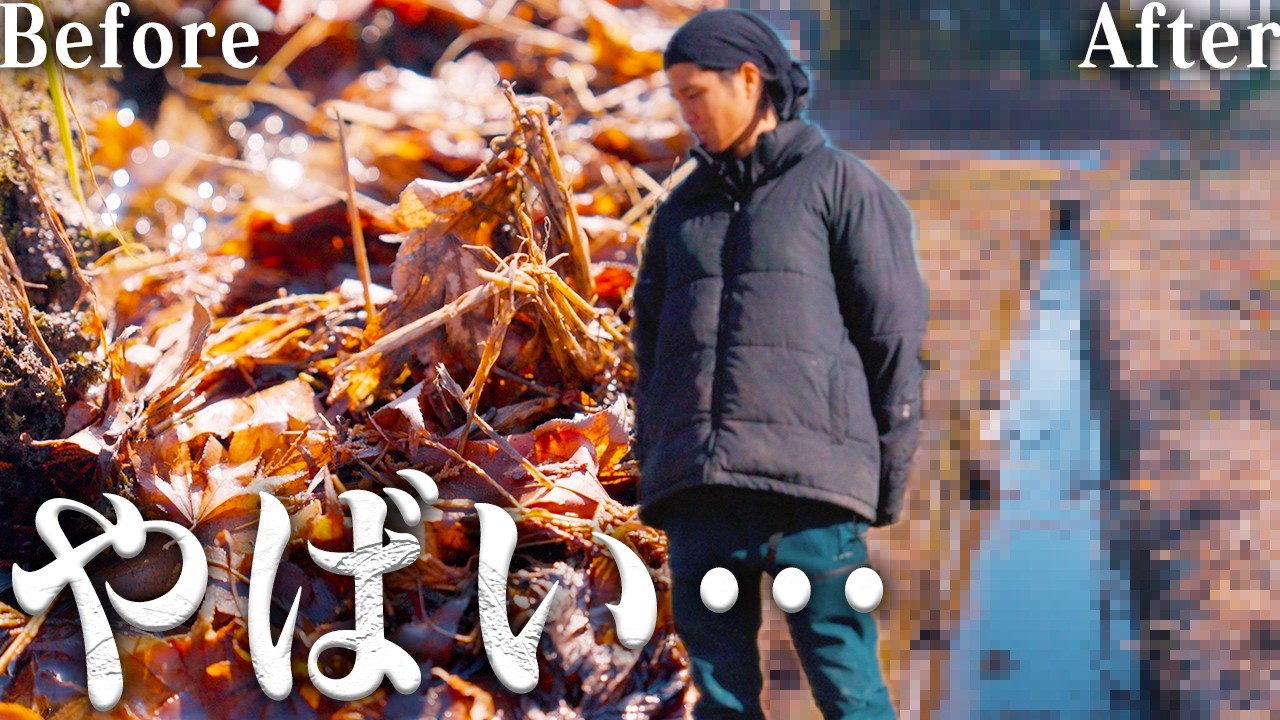 【激変】このままだと大変だ…超汚い用水路をスッキリさせる! #708