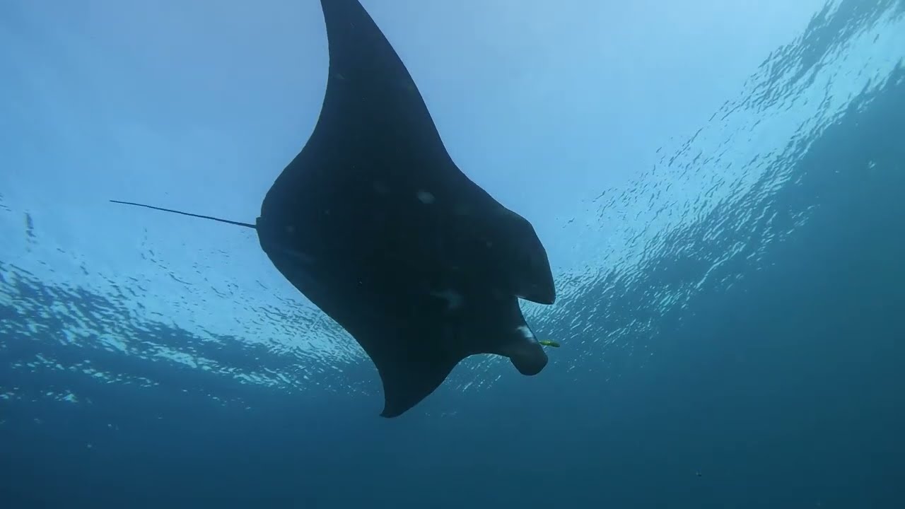 Raja Ampat: Mikumba II