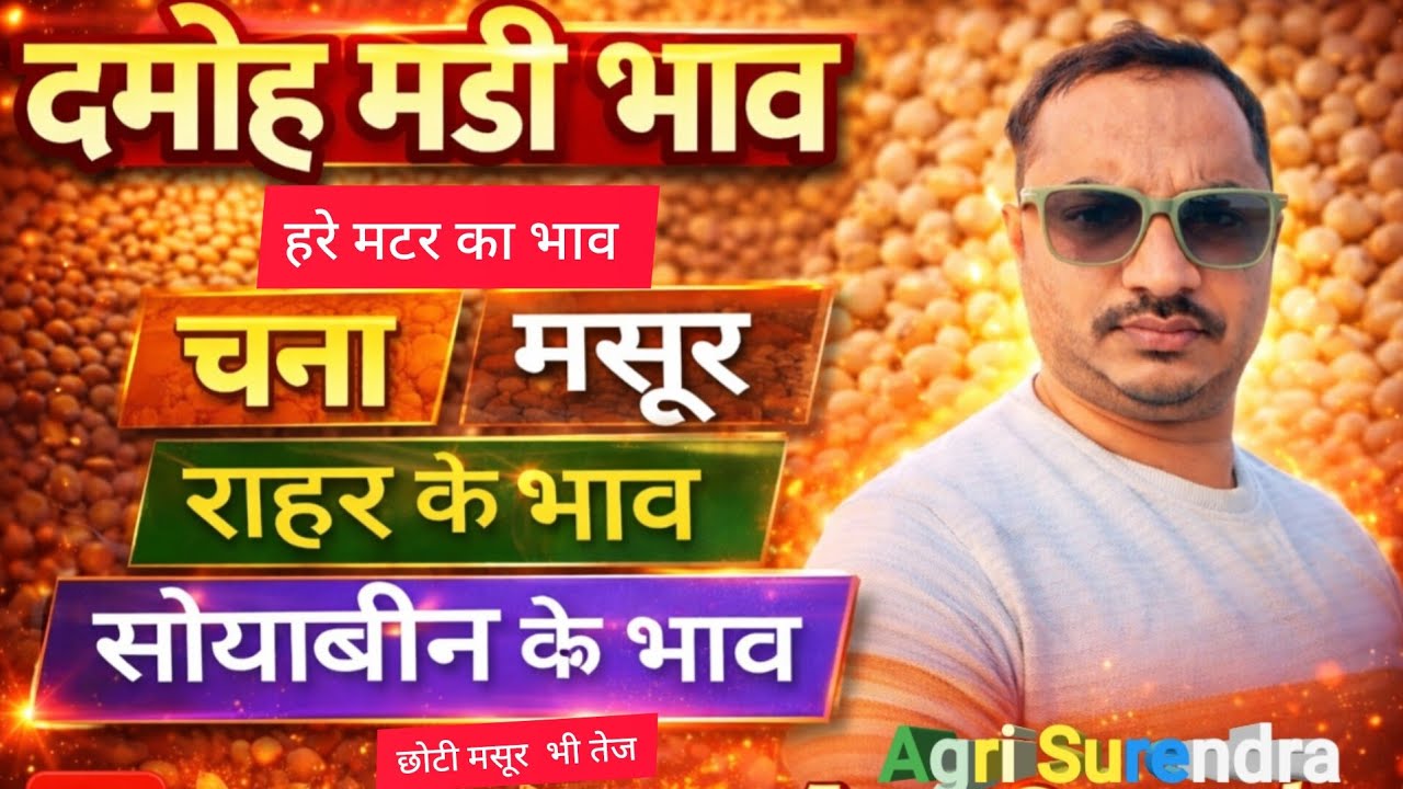 आज के दमोह मंड़ी भाव! हरे मटर का भाव !राहर के भाव!मसूर के भाव!चना का भाव! सोयाबीन का भाव!18/2/2026