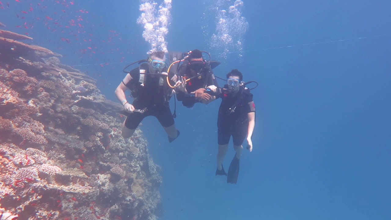Red comes in many shades & fun comes in various forms - Scuba Diving in the Red Sea - Egypt - (PDL)