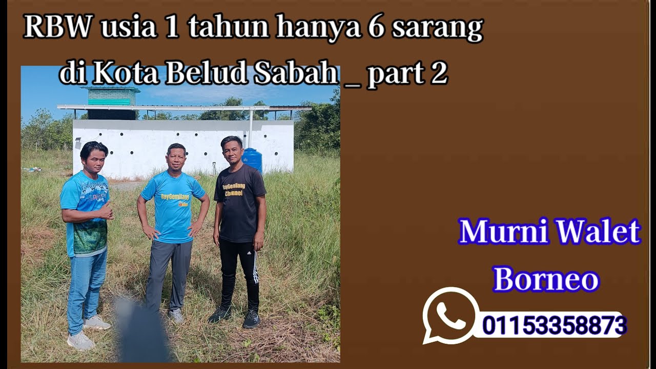 RBW usia 1 tahun hanya ada sarang di KOTA BELUD part 2 _ sound check dan berkongsi tataruang