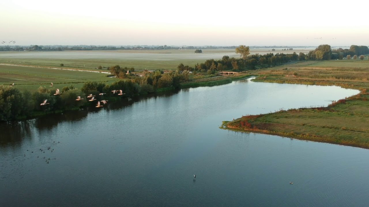 Willeskop 1 september 2018