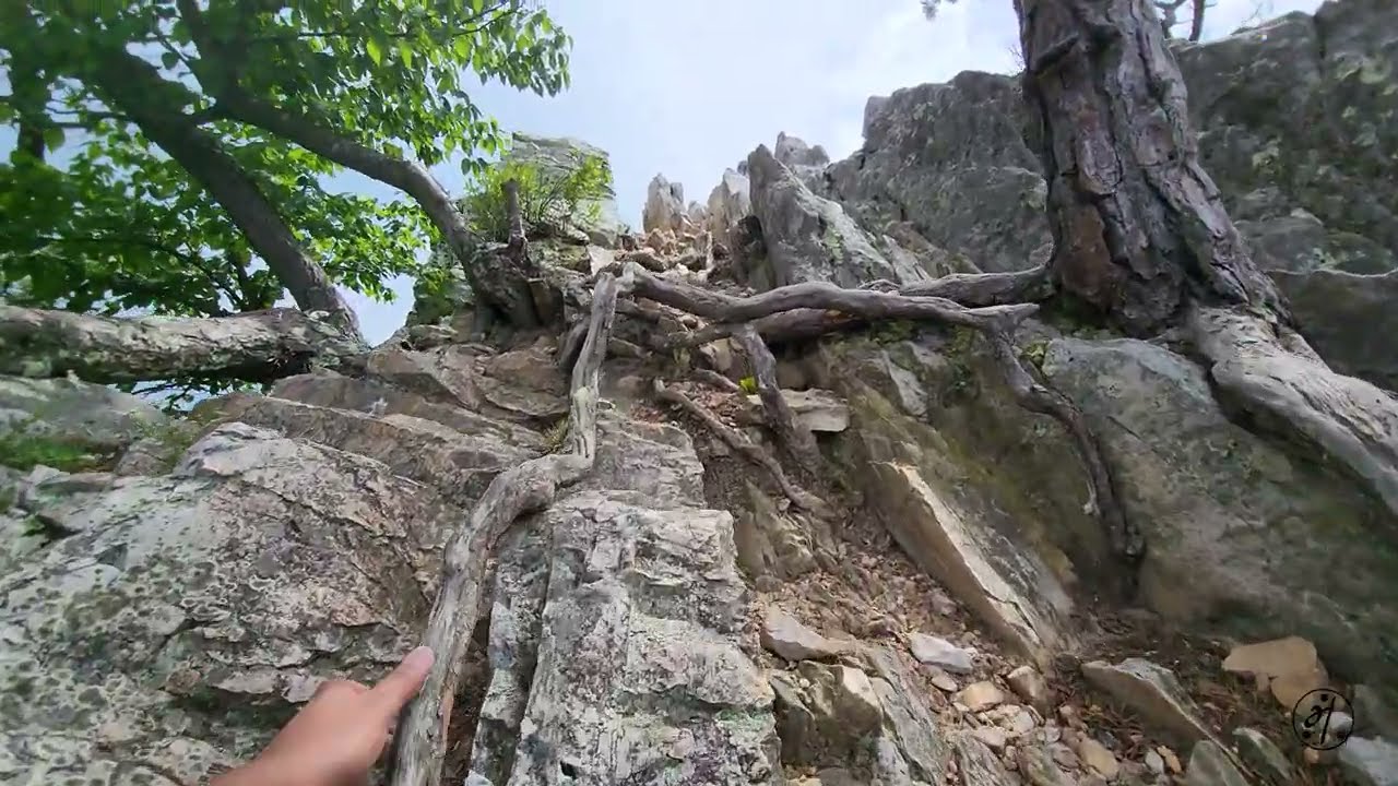 Seneca Rocks, West Virginia | Easy Hike for Beginners..