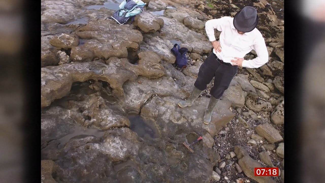 Dinosaur footprints found in Folkestone cliffs and coast (UK) - BBC News - 20th June 2021
