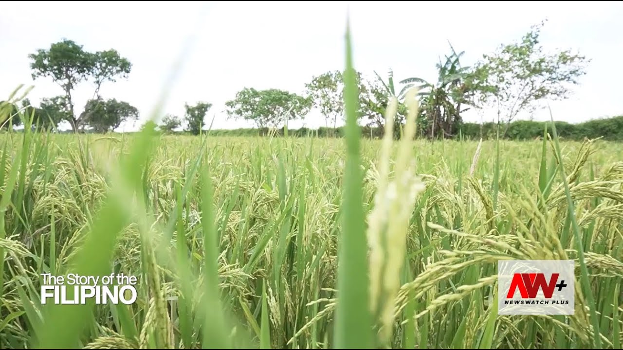 Story of the Filipino: Sustainable Agriculture