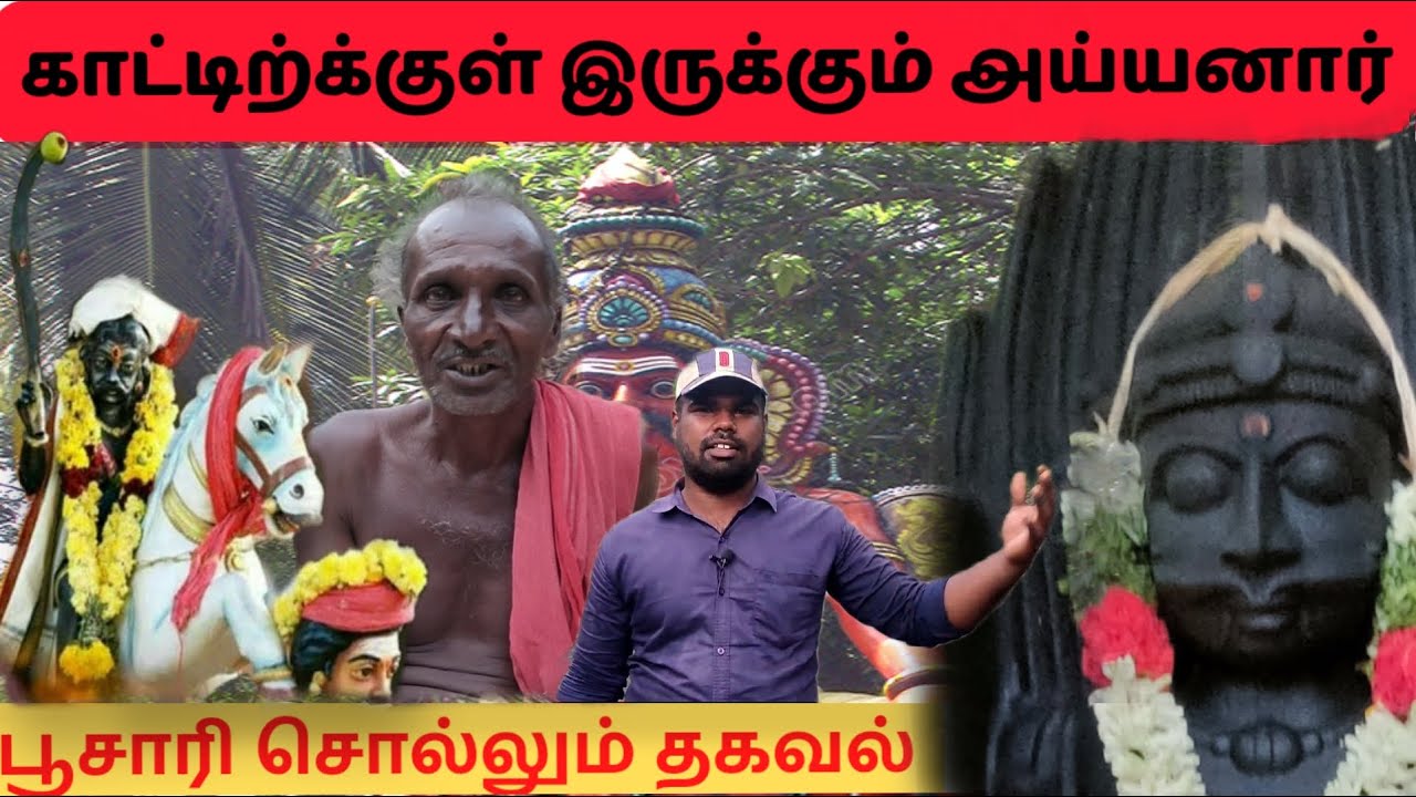 புதுக்கோட்டையில் உள்ள சக்தி வாய்ந்த அய்யனார் கோவில்|இளங்குடி ஐய்யனார் கோவில்|#Greenflashtamil|