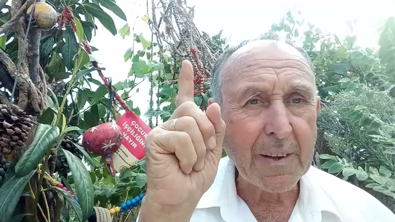 Nazım Hikmet Ran