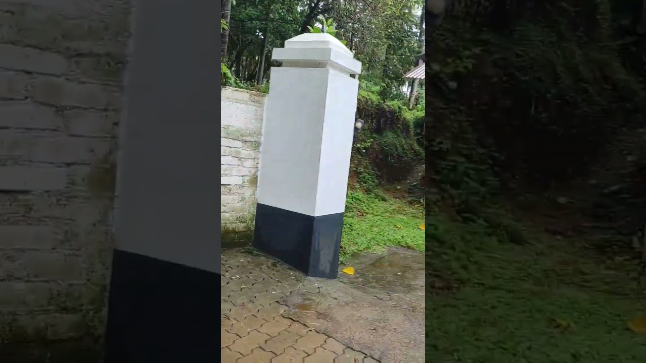 100day 100 video chalange, day2, #tranding, #trandingshorts, #shortvlog, #dalilife, #vilagelife,