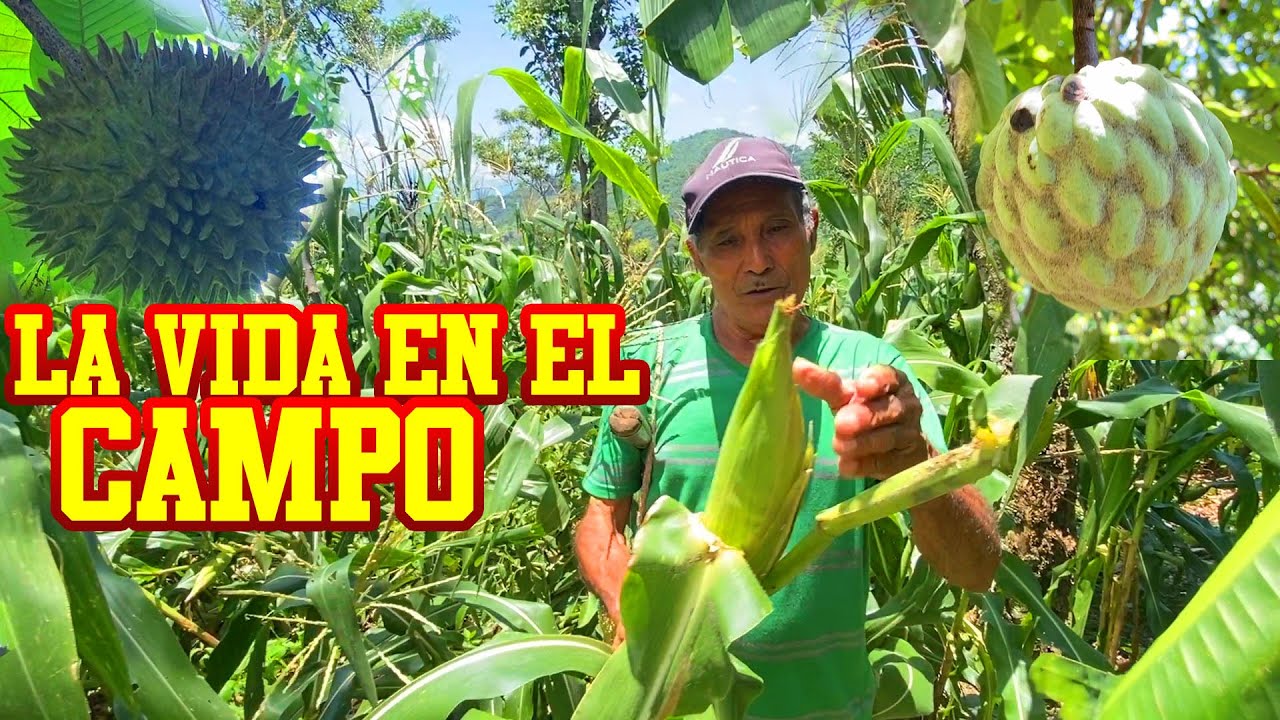 A si se vive en el campo en El Salvador 2022