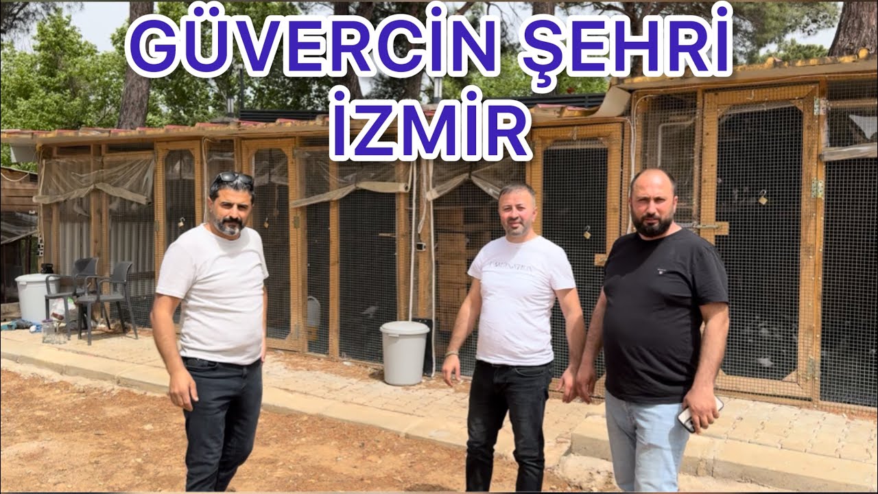 Bİ KUŞÇU DÜŞÜNÜN ONLARCA KAFES KUŞU VAR ( R ) YOK HEPSİNİ SALIYO DIŞARI