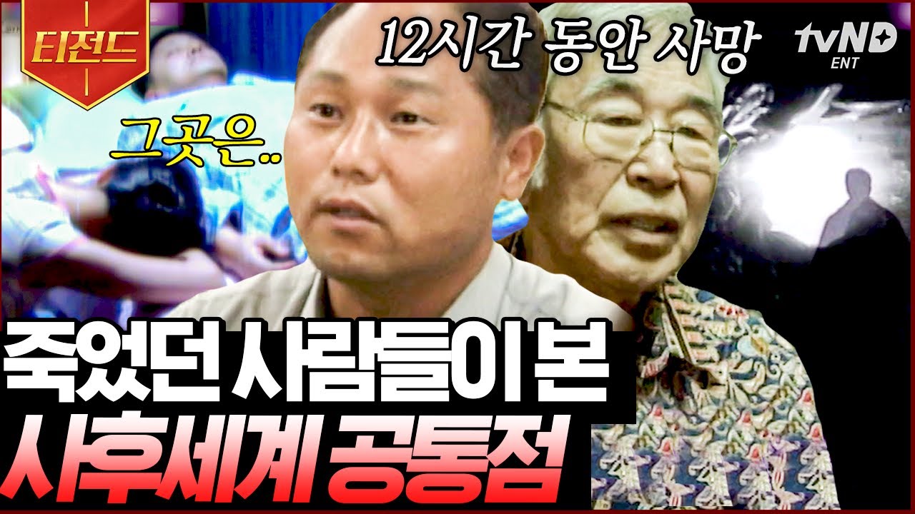 [#티전드] 저승에서 돌아온 사람들? 오싹하면서 궁금한 사후세계😨 알 수 없는 그곳의 진실은 과연... | #리얼스토리묘