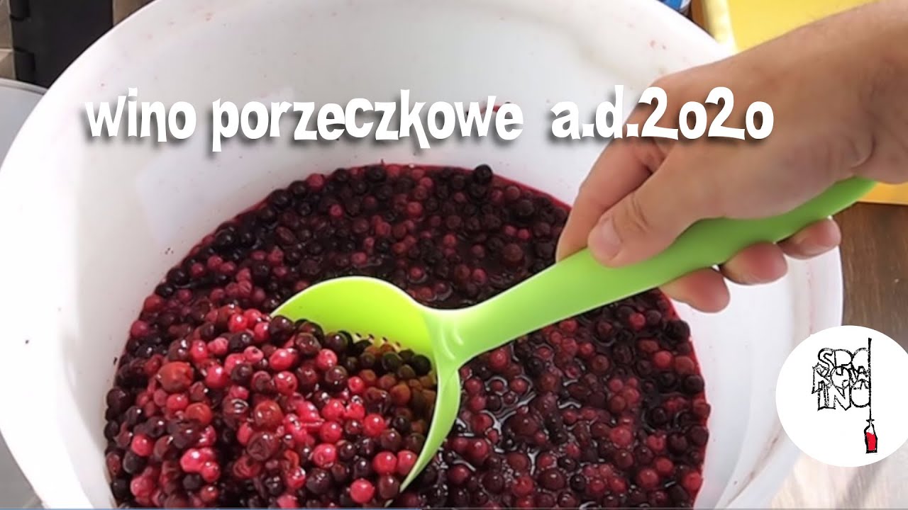 SPOKOWINO | wino porzeczkowe 2020