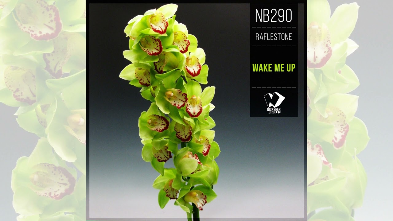 RafleSTone - Wake Me Up (Synth House Mix)