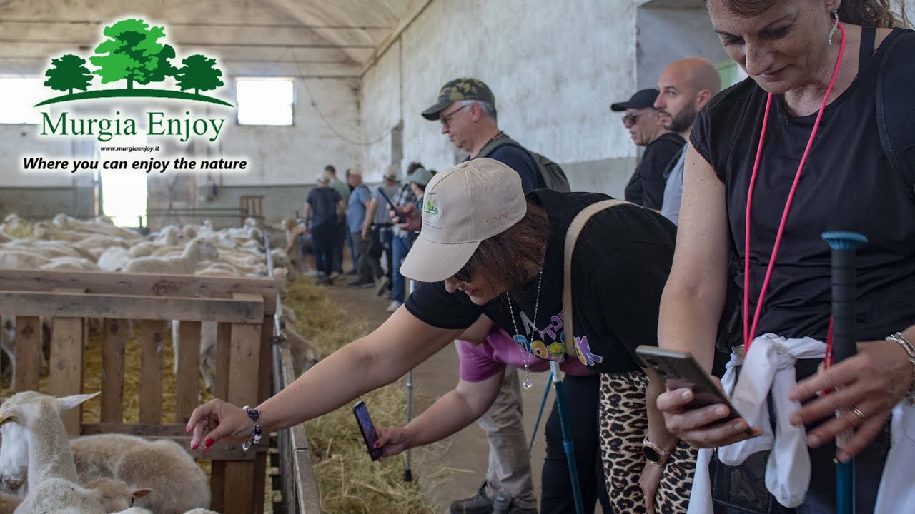 Attività alla riscoperta di antiche tradizioni - 7' intervista di Telenorba a Murgia Enjoy