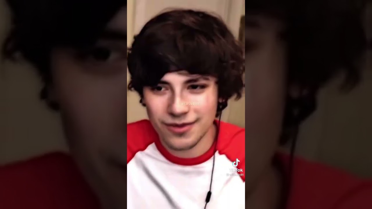 Dsmp tiktok edit compilation