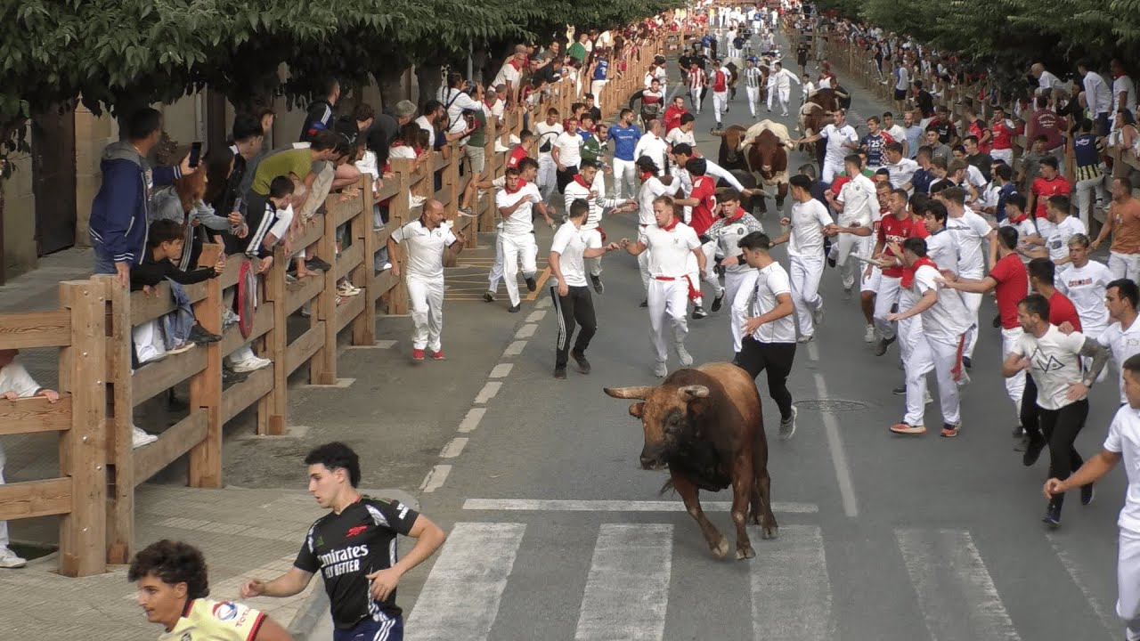 QUINTO ENCIERRO TAFALLA 19-08-2025